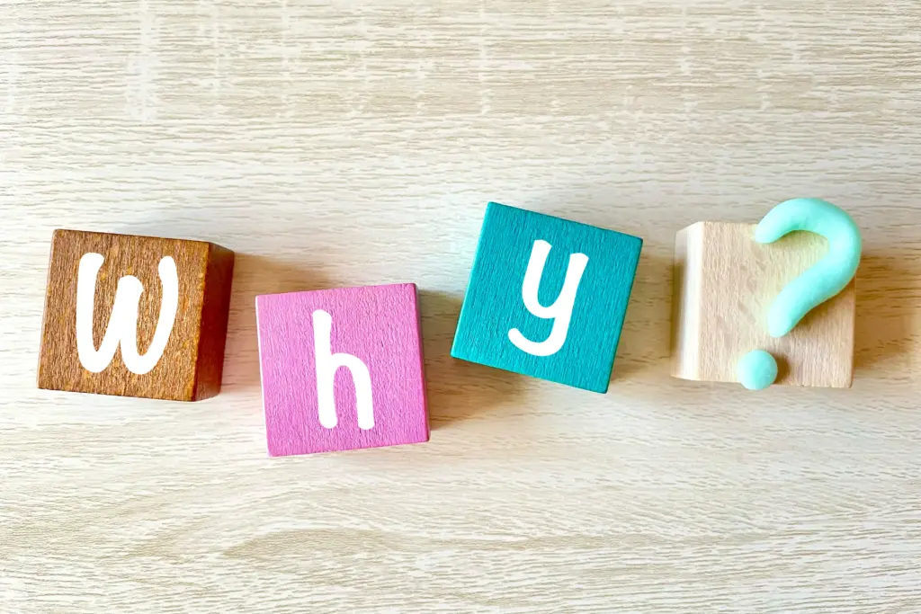 Why?イメージ
