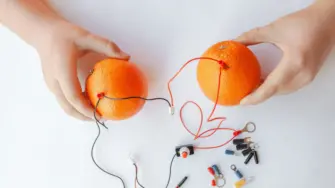 オレンジを使った実験をする子供の手元