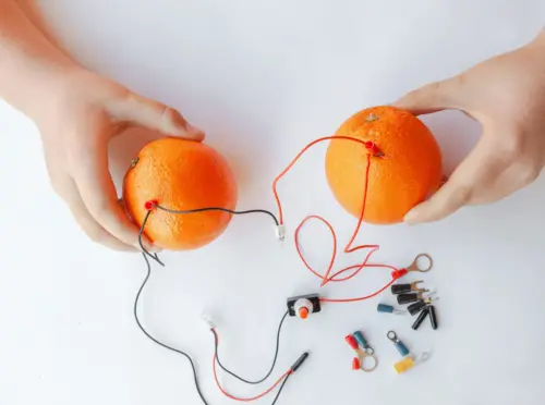 オレンジを使った実験をする子供の手元