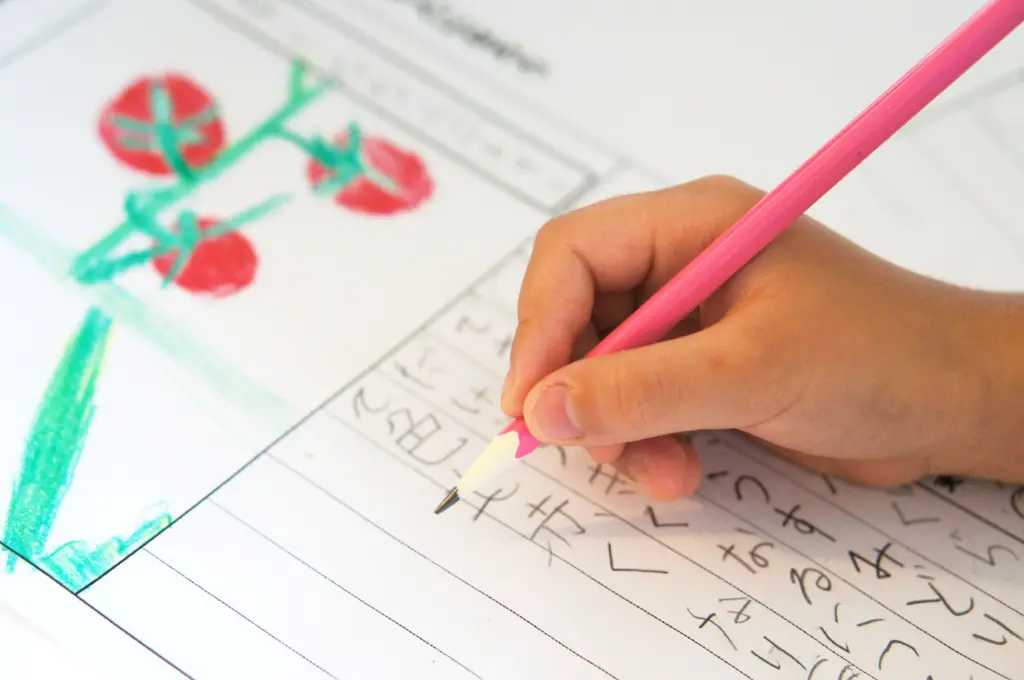 絵日記を書く子供の手元