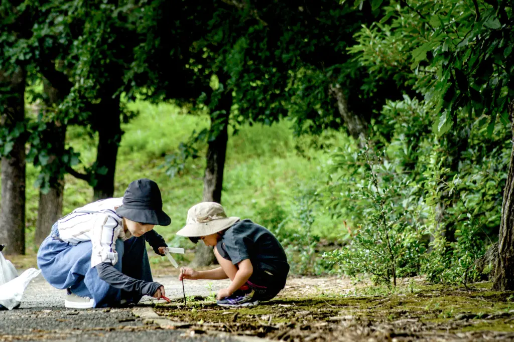 公園で虫を探す親子