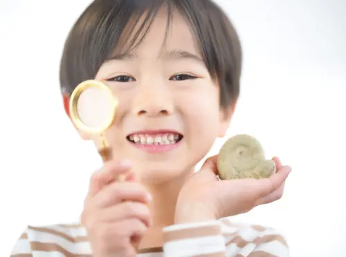 自由研究を楽しむ男の子