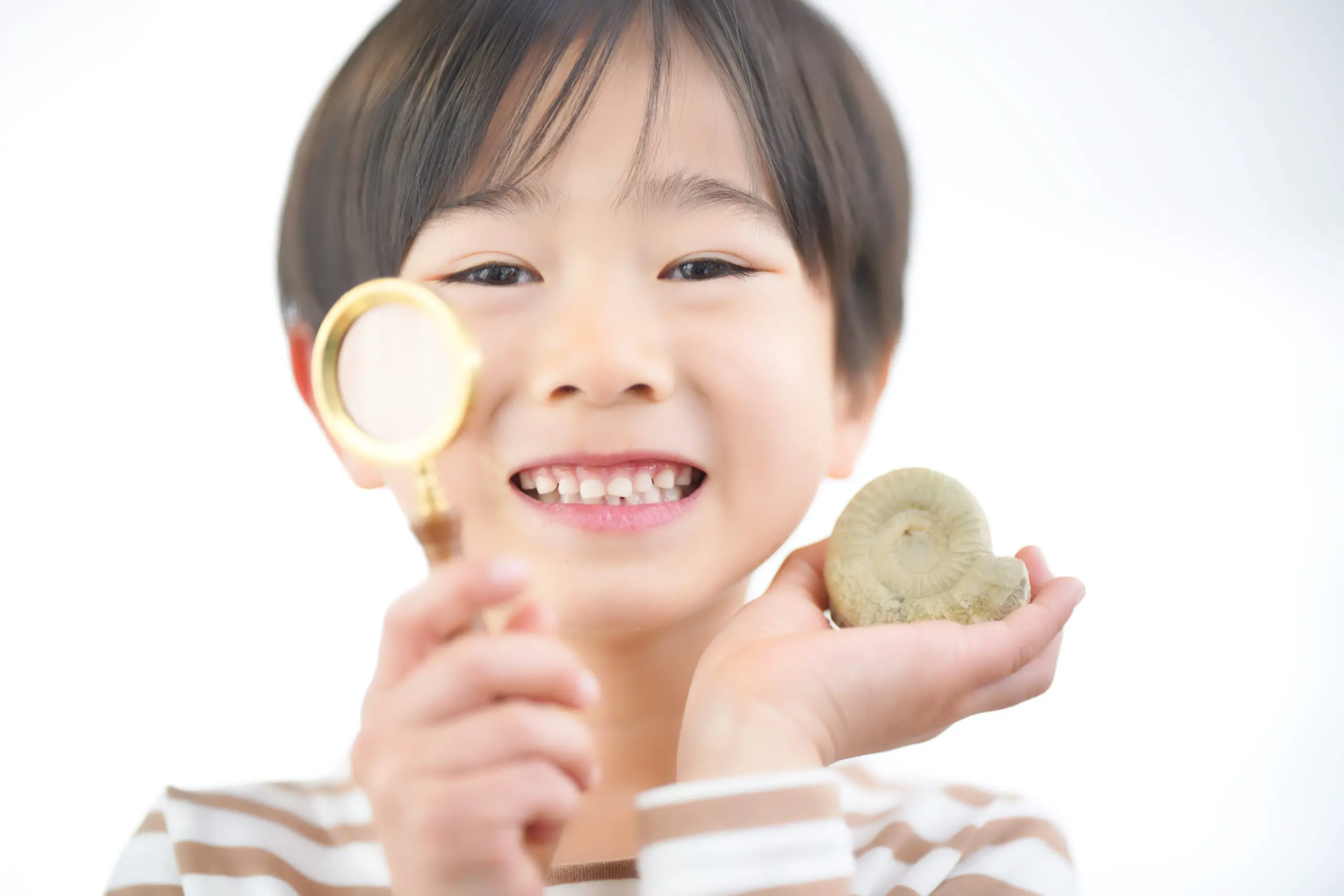 自由研究を楽しむ男の子
